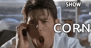 Jerry Maguire Show Me The Money GIF