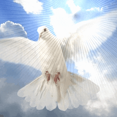 Jesuslove GIF