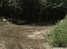 Jewish GIF