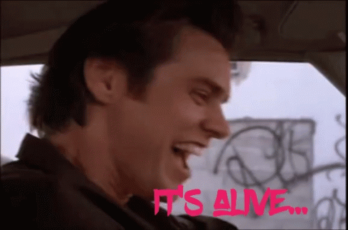 Jim Carrey Ace Ventura GIF