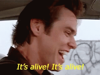 Jim Carrey Alive GIF
