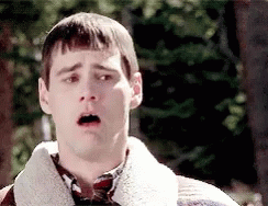 Jim Carrey Dumb And Dumber GIF