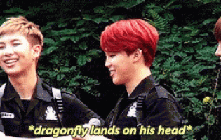 Jimin Kpop GIF
