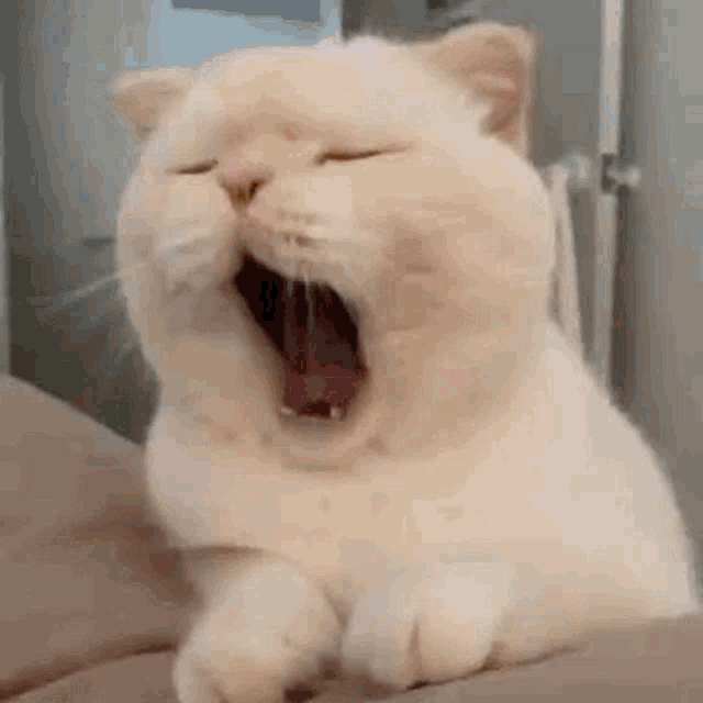 Jimitendo Yoongi GIF