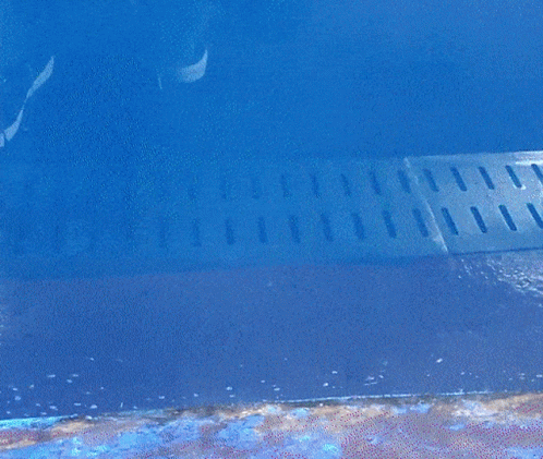 Jinny Jinnytty GIF