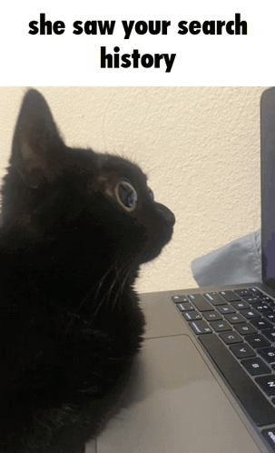 Jinx Cat GIF