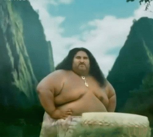 Jipoune Hawaii GIF