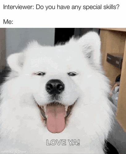 Job Interview GIF