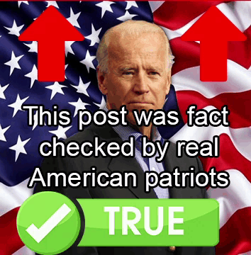 Joe Biden Fact Check GIF