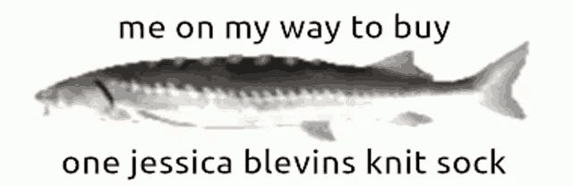 Joel Joel Fish GIF