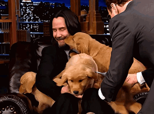 John Wick Puppies GIF. This 498 x 369 animated GIF is part of our john wick dog collection. Related themes include cute, john wick. Created by…