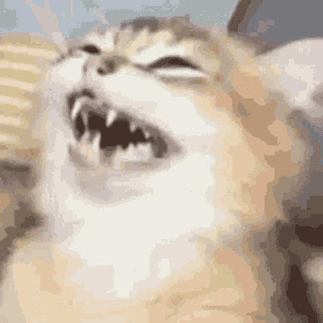 Johnloverfnk GIF