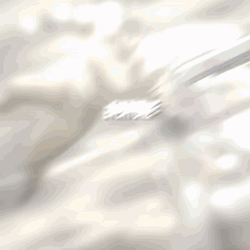 Jojo'S Bizarre Adventure Everyone Get In The Car GIF