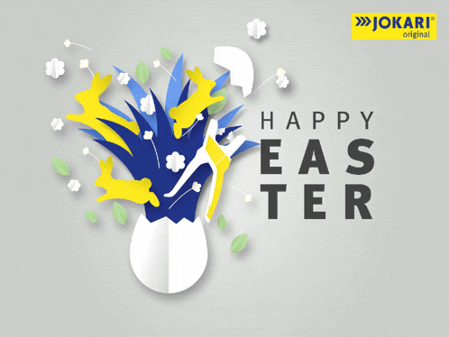 Jokari Original GIF