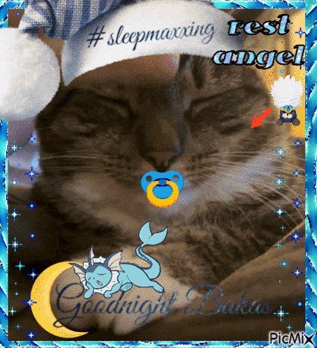 Josie The Cat Eaveel GIF