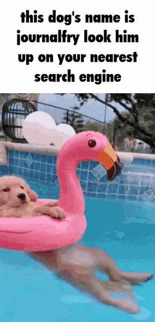 Journalfry Dog GIF