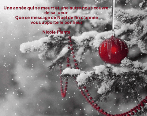 Joyeuses Fetes GIF
