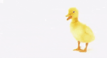 Joyeux Anniversaire GIF