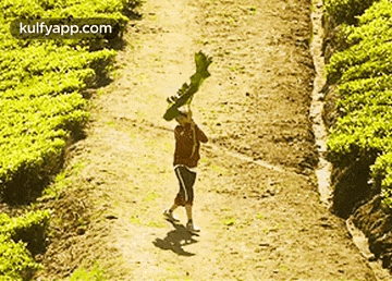 Joyful.Gif GIF