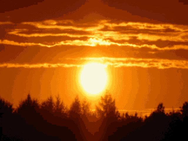 Jrny Crypto Tony Wut Face Sunset GIF