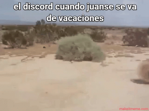 Juans GIF