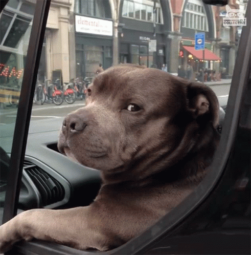 Judging Nope GIF