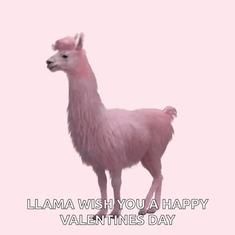 Julesmumm Bejules GIF. This 480 x 480 animated GIF is part of our lhama cuspindo collection. Related themes include lama. Created by crchampion. View the…
