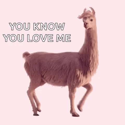 Julesmumm Bejules GIF. This 480 x 480 animated GIF is part of our lhama cuspindo collection. Related themes include lama. Created by jleeschreiber. View the…