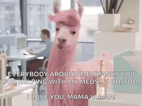 Julesmumm Bejules GIF. This 480 x 360 animated GIF is part of our lhama cuspindo collection. Related themes include lama. Created by jleeschreiber. View the…