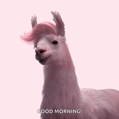 Julesmumm Bejules GIF. This 480 x 480 animated GIF is part of our lhama cuspindo collection. Related themes include lama. Created by purplekorn. View the…