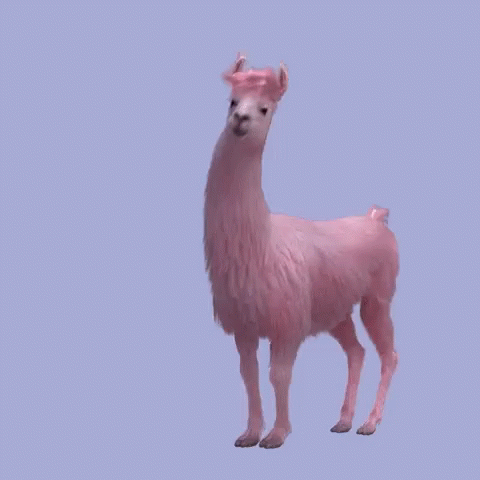 Julesmumm Bejules GIF. This 480 x 480 animated GIF is part of our lama collection. View the original animation, share it, or browse related GIFs.