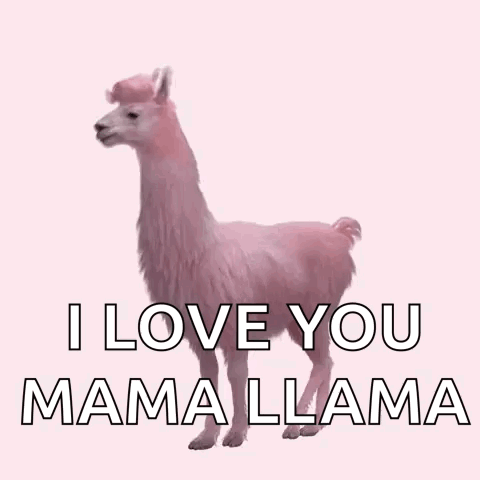 Julesmumm Bejules GIF