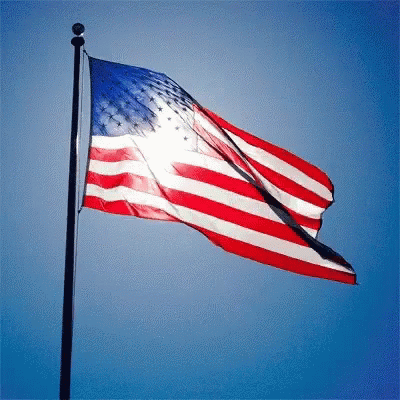 July American Flag GIF. This 400 x 400 animated GIF is part of our most american collection. Related themes include american flag, summer. Created by…