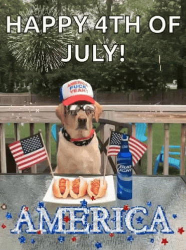 July4 America GIF. This 371 x 498 animated GIF is part of our happy 4th of july collection. Related themes include 4th of july, celebrate, celebration…
