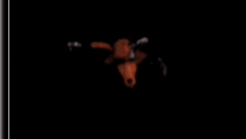 Jump Scare Julpscare GIF