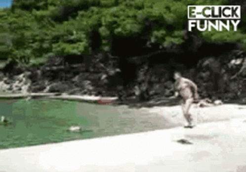 Jump Shark GIF