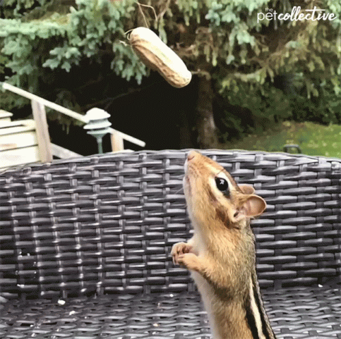 Jump Slow Mo GIF