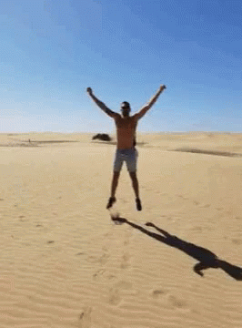 Jumping Desert GIF