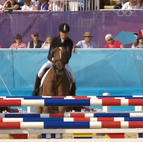 Jumping Horse Adrienne Toth GIF. This 498 x 496 animated GIF is part of our stick figure horse collection. Created by olympics. View the original animation…