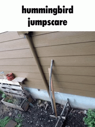 Jumpscare Boo GIF