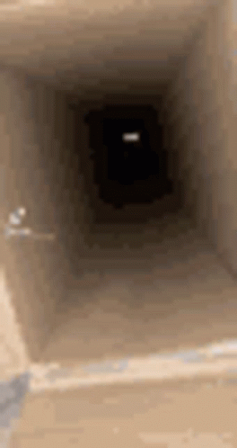 Jumpscare Cat GIF
