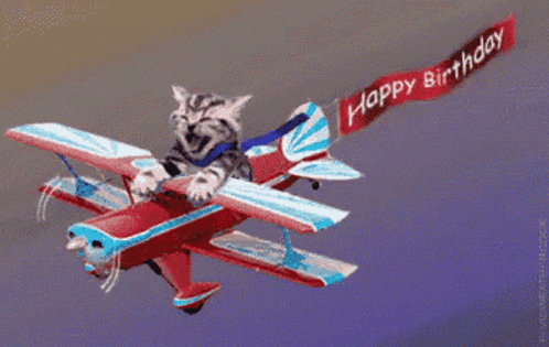 June 27 GIF. This 498 x 315 animated GIF is part of our funny airplane collection. Created by meganlinder88. View the original animation, share it, or…
