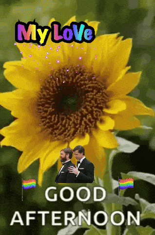 June Summer Fun GIF