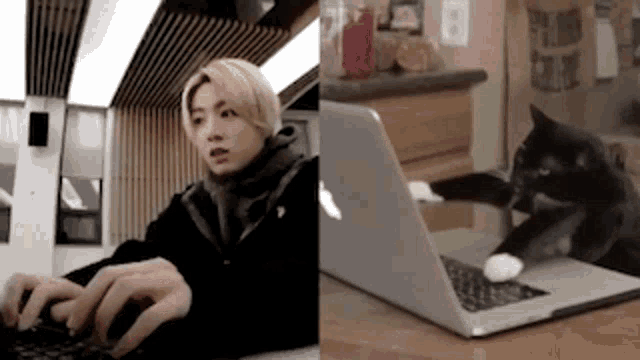 Jungkook Cat GIF