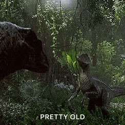 Jurassic Dinosaur GIF