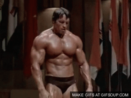 Just Flexing Arnold Schwarzenegger GIF