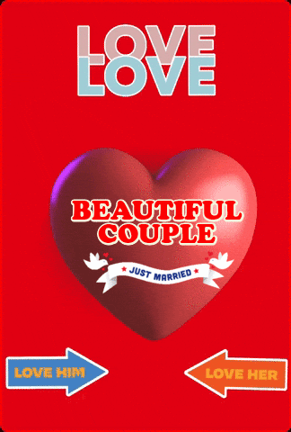 Just Married Beautiful Couple GIF