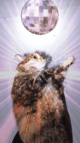 Juturna Disco Cat GIF