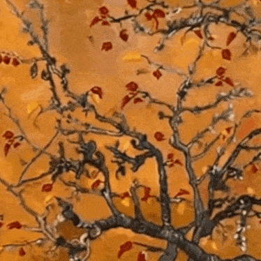 Jvke Tree GIF
