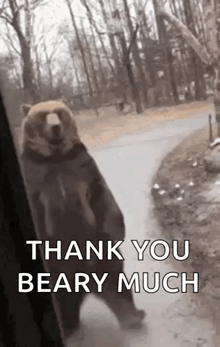 Kaden Bear GIF